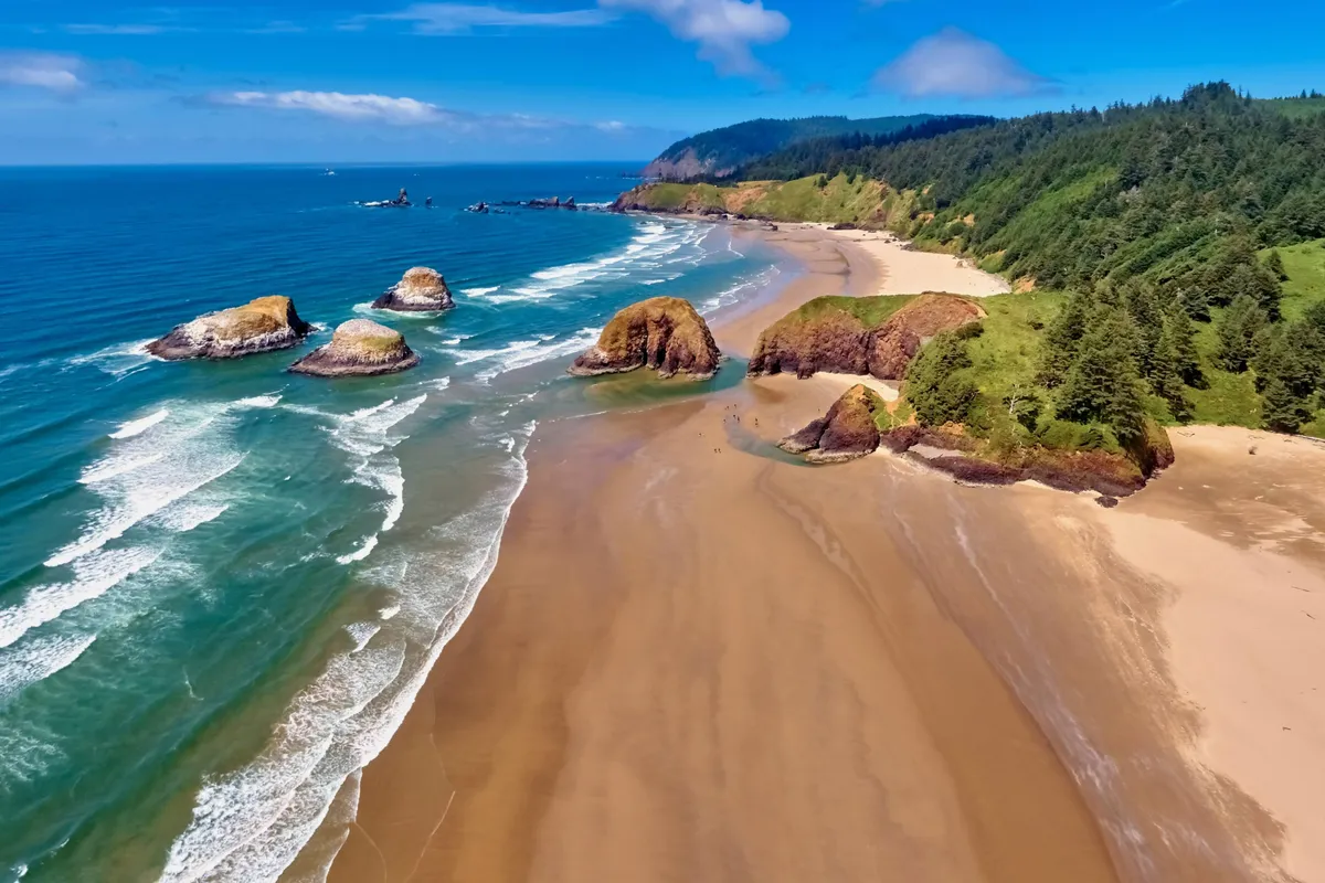 This image captures a tranquil coastal scene featuring sandy beach, striking rock formations, gentle waves, and a forested hillside in the background. The expansive shoreline invites exploration and play, perfect for outings with pets.